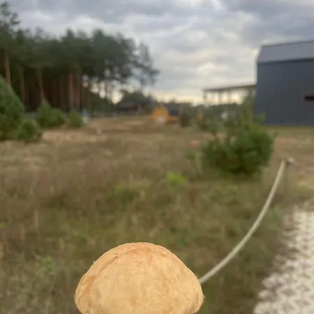 Sworna Laka Z Zewnetrznym Spa- Sauna, Jacuzzi, Balia Swornegacie